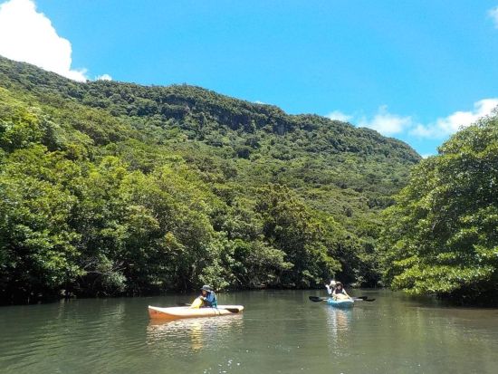 西表島探検！カヌー＆トレッキングツアー 2種類のアクティビティを楽しめる マイナスイオンたっぷりの大自然をのんびり冒険＜昼食付／石垣島発＞