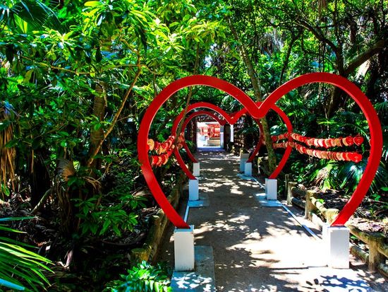 pixta_42954000_青島神社