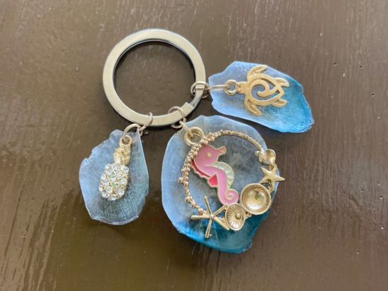 うろこアクセサリー 久米島産のイラブチャーのうろこを使って世界に一つだけの作品を作ろう♪＜30分～90分＞