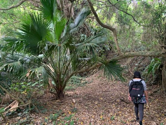 久米島秘境ツアー 観光マップに載っていない島人おススメスポットに行こう 自然が作り出した絶景をご案内＜約90分or半日／久米島＞