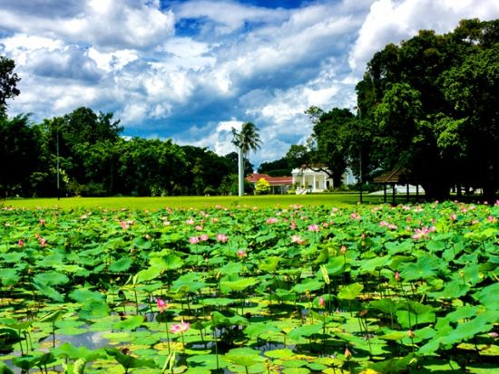 ジャカルタ郊外貸切ツアー　ボゴール高原＆タマン・サファリ ＜平日／日本語ガイド／昼食付き／市内往復送迎／終日＞