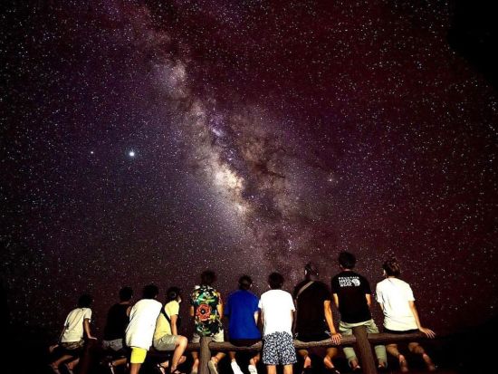 ナイトツアー　ヤシガニなどの亜熱帯特有の動植物探し＋星空観賞＜宮古島＞