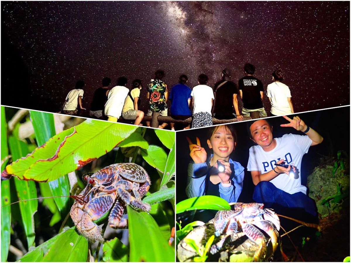 20231204014547_931790321_14921