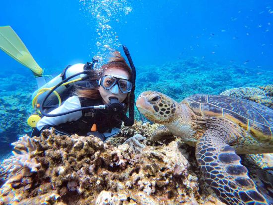 慶良間体験ダイビング＋シュノーケリング 完全禁煙船でミシュランエリア3ポイント回遊！写真・バスタオル・ランチ無料＜1日／1～2ダイブ／那覇市内送迎無料＞