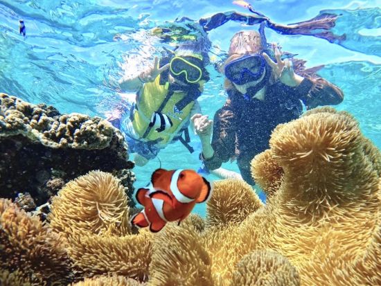 【貸切】VIPチャーターツアー　マリンスポーツ　シュノーケリングやSUP等お好きなマリンスポーツを選択可能＜半日または1日／宮古島＞