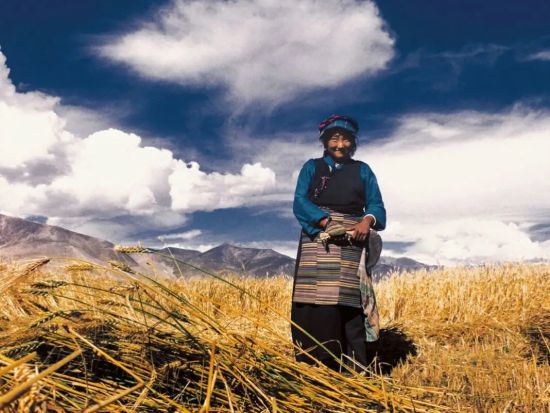 世界最高峰エベレストを望む　チベット7泊8日ツアー ＜貸切／チベットパーミット代行／青蔵鉄道利用／食事付き／日本語ガイド／上海発＞