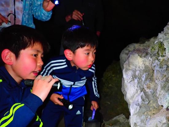 20231205追加ナイトツアー (8)