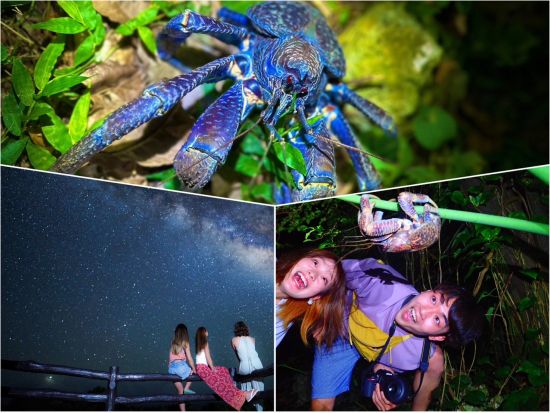 星空鑑賞＆ナイトツアー　星空保護区認定エリア八重山の天体ショーとジャングルナイトツアー！＜石垣島＞