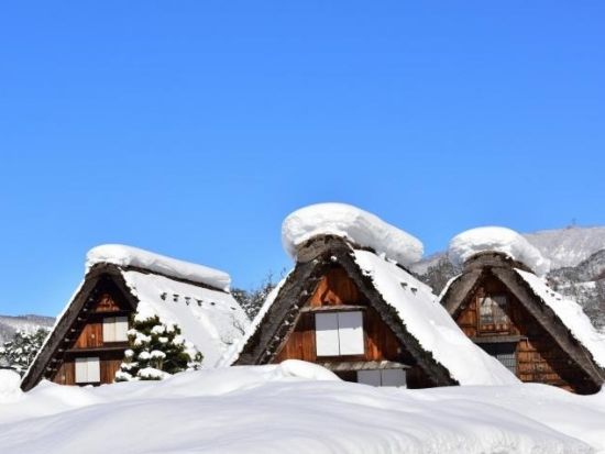 【英語バスツアー】インバウンド向けツアーで感動の高山白川郷 世界遺産満喫ツアー日帰り観光＜名古屋発／英語ガイド＞
