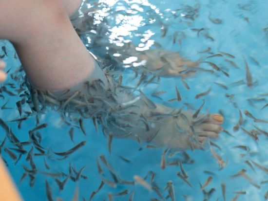【当日予約OK】 箱根小涌園ユネッサン 水着で遊べる温泉アミューズメントパーク＜0歳児から入場可能／タオル＆水着の有料レンタルあり／箱根＞