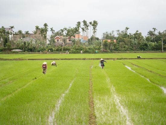 ホイアン　サイクリングツアー ＜軽食付き／英語ガイド＞