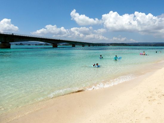 【韓国語ガイドがご案内！】美ら海水族館・古宇利島・万座毛など沖縄の人気観光スポットを巡る北部バスツアー ＜約10時間／那覇発・北谷発＞