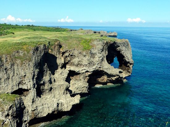 【韓国語ガイドがご案内！】美ら海水族館・古宇利島・万座毛など沖縄の人気観光スポットを巡る北部バスツアー ＜約10時間／那覇発・北谷発＞