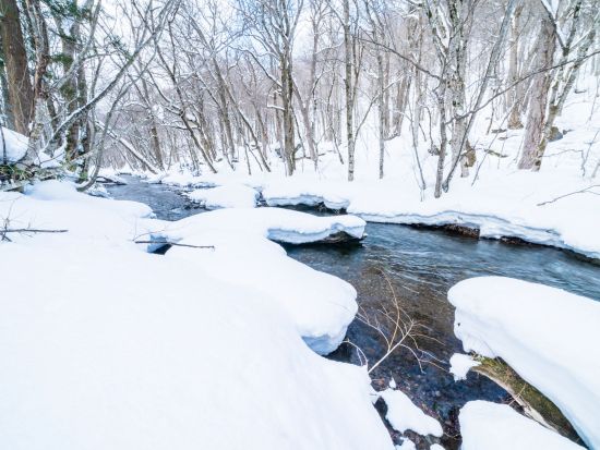 貸切観光タクシー 十和田湖+奥入瀬渓谷をゆったり観光♪十和田湖での遊覧船乗船も可♪＜1～9名／8時間／八戸発着＞by ポストタクシー