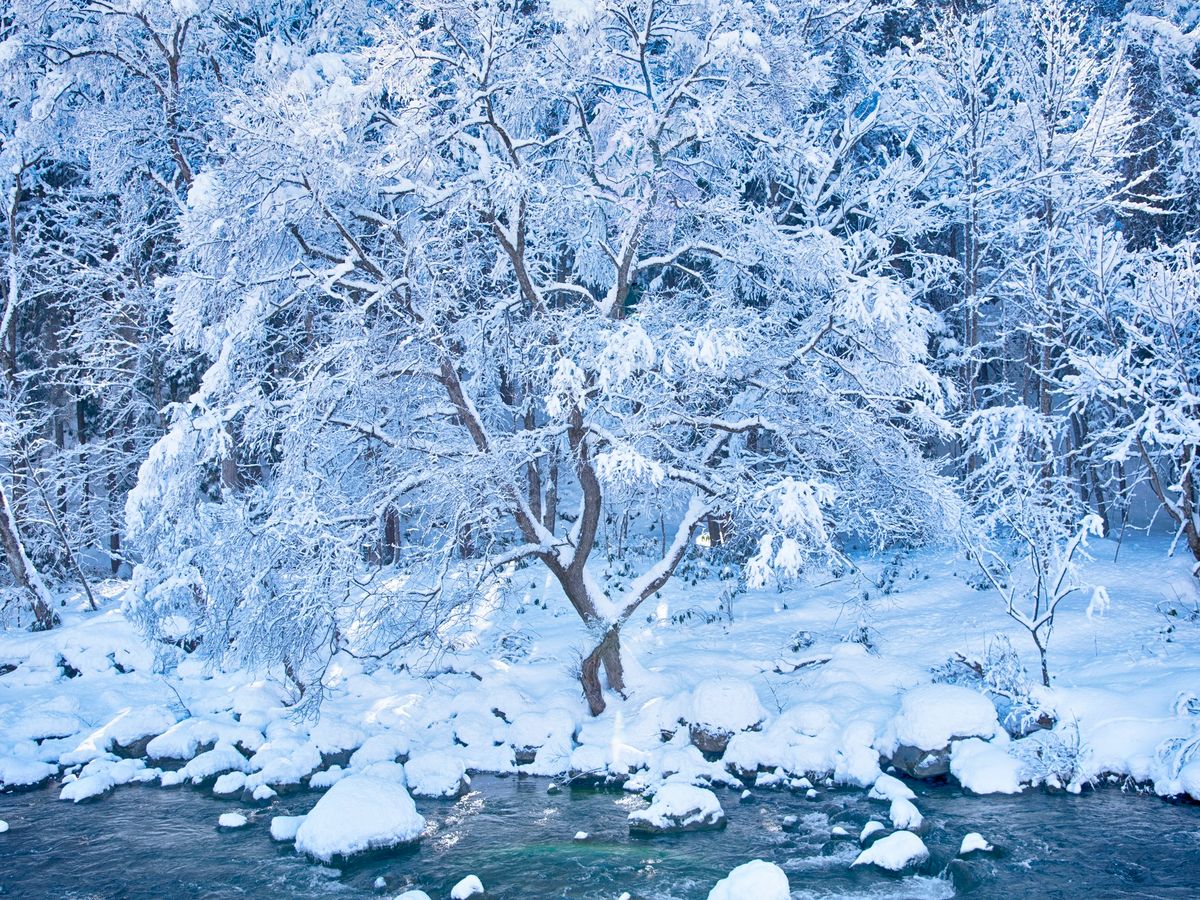 奥入瀬観光 | 青森 旅行の観光・オプショナルツアー予約 VELTRA