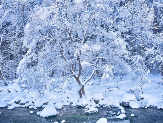 貸切観光タクシー 　青森県人気観光地の奥入瀬渓流と十和田湖を巡る5時間コース＜1～9名／八戸駅・八戸市内発十和田湖湖畔着＞by ポストタクシー