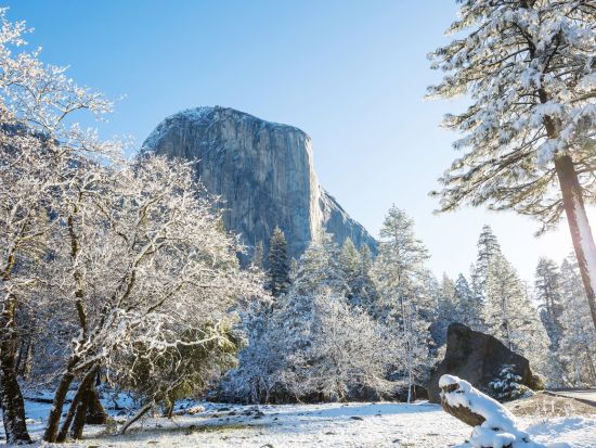 【アワニーホテル宿泊】世界遺産ヨセミテ国立公園1泊2日ツアー 公園内唯一の四つ星の高級ホテル　大自然の中でVIP気分！2日目は自由散策＜日本語ガイド＞