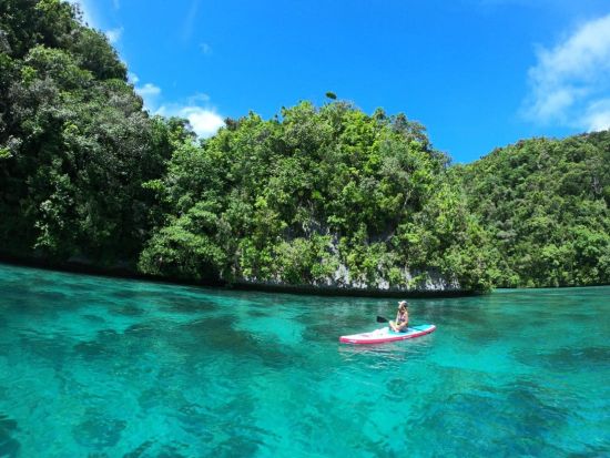 SUP＆シュノーケリングツアー　パラオに残された大自然を満喫＜昼食／送迎付き＞ by Rock Island Tour Company