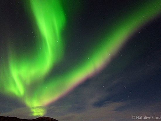 Northern-Tales-Aurora-01-600