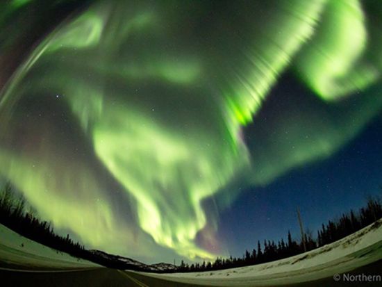 ホワイトホース オーロラ観賞2泊3日ツアー　市内観光も楽々！ダウンタウンのホテル宿泊付き ＜8～3月／日本語ガイド＞