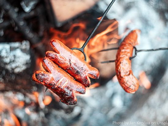 ホワイトホース オーロラ観賞2泊3日ツアー　市内観光も楽々！ダウンタウンのホテル宿泊付き ＜8～3月／日本語ガイド＞