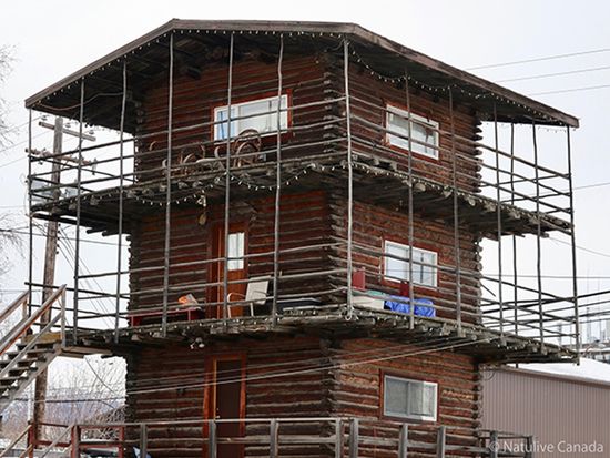 Log-Skyscraper-Whitehorse-01-600