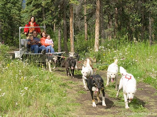 Dog-Sledding-Summer-01-600