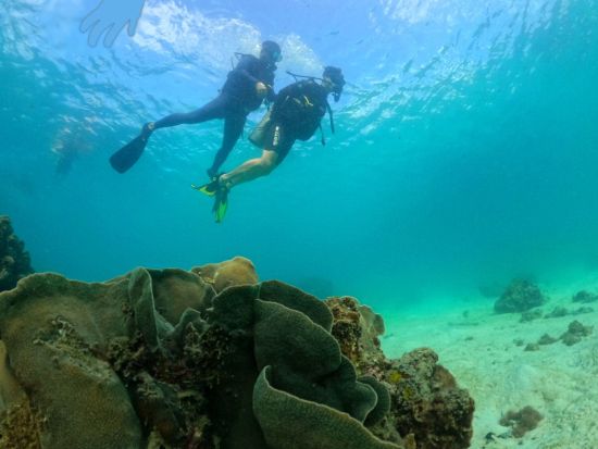 フーコック島ダイビング　体験ダイビングまたはファンダイビング ＜最大15名／昼食付き／英語インストラクター＞