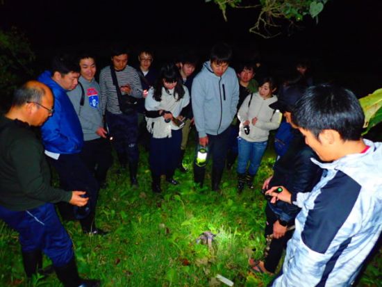 星空鑑賞+ナイトツアー　星空保護区認定エリア八重山の星空観測と夜の動植物を観察！＜上原港または北部地区ホテル無料送迎／西表島＞