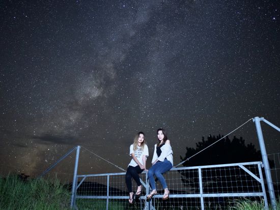 星空鑑賞+ナイトツアー　星空保護区認定エリア八重山の星空観測と夜の動植物を観察！＜上原港または北部地区ホテル無料送迎／西表島＞