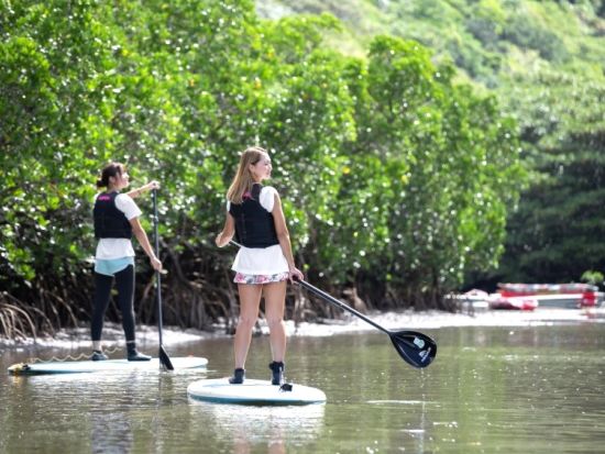 半日マングローブSUP or カヌーツアー 選べるバラス島シュノケリングまたは離島巡りバラス島上陸+由布島観光付き1日プランも！＜上原地区送迎無料／西表島＞