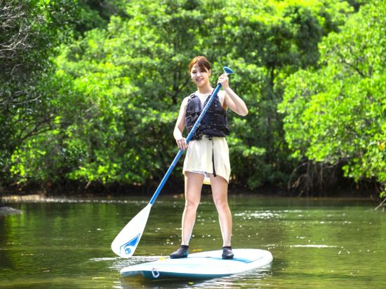 マングローブSUP orカヌーorバラス島シュノーケリング＋由布島観光　選べるアクティビティ＜上原港または上原地区ホテル無料送迎／西表島＞