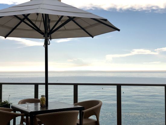 大阪発着！春の淡路島よくばりバスツアー 花さじき絶景・Ladybird Road散策＆旬のフルーツ食べ放題30分【日英中ガイド】