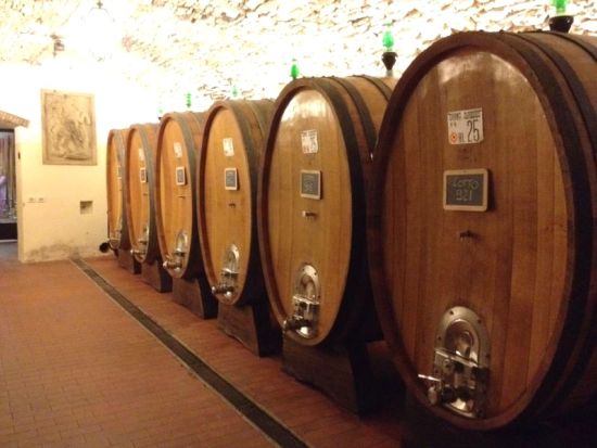 キャンティワイナリー3軒＋オリーブオイル工場訪問ツアー トスカーナ料理のランチ付き＜ワイン＆オリーブオイル試飲付／フィレンツェ発＞