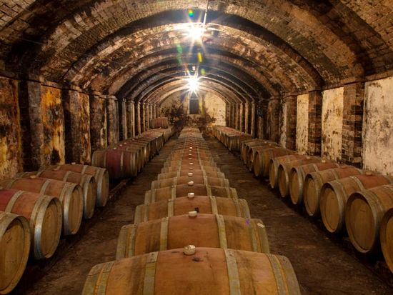 Tuscany Wine & Olive oil trail 2