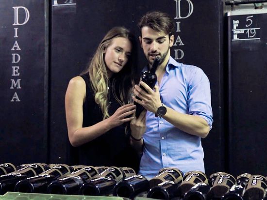 Tuscany Wine & Olive oil trail 9