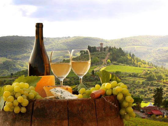 キャンティワイナリー3軒＋オリーブオイル工場訪問ツアー トスカーナ料理のランチ付き＜ワイン＆オリーブオイル試飲付／フィレンツェ発＞