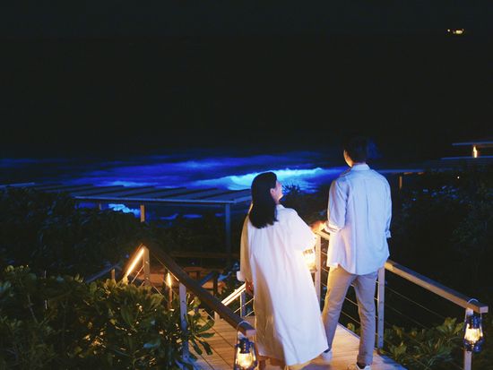 【バンタカフェ】イルミーバンタ_ランタン_散策