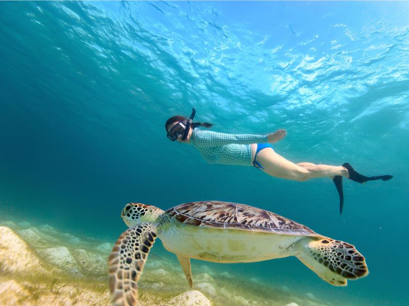 Shutterstock_229519639(1)