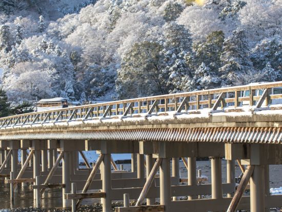 貸切観光タクシー 金閣寺・銀閣寺・平安神宮・清水寺・東山などご希望の観光地をめぐるフリープラン ＜3時間～／1-9名／京都市内送迎可＞ by ヤサカ観光