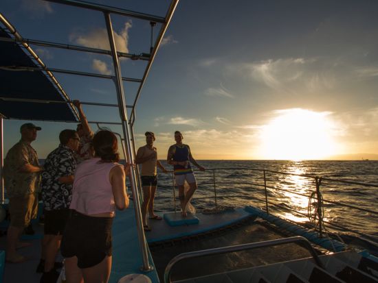 サンセットクルーズ　ワイキキの海岸線で美しい夕日を鑑賞！冬季（12/15~3/31）はクジラを探すホエールウォッチングも実施＜ケワロ湾発＞