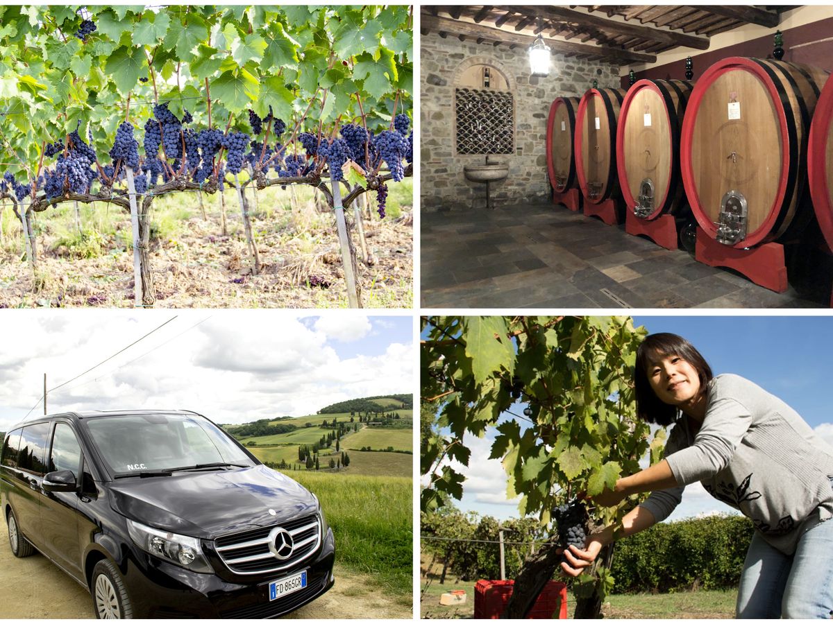 ソムリエ市川さんと巡る！モンタルチーノ＆キャンティ・クラシコ