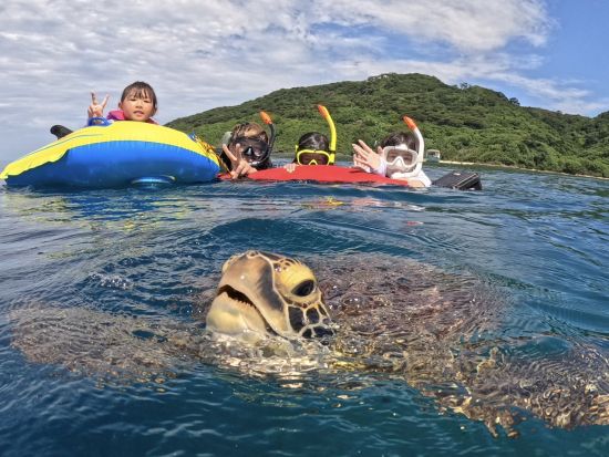 ウミガメシュノーケリング 高確率でウミガメと出会える！ウミガメ見れなきゃ全額返金！ビーチエントリーで船酔いの心配なし＜市街地ホテル送迎可／石垣島＞