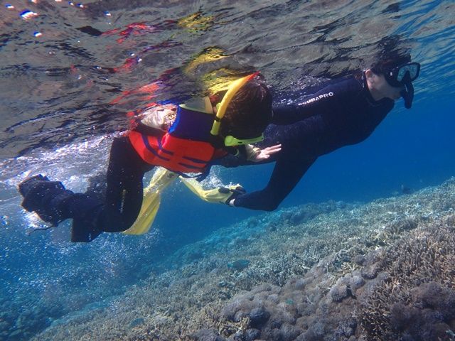 マリンスポーツ | バリ島 旅行の観光・オプショナルツアー予約 VELTRA