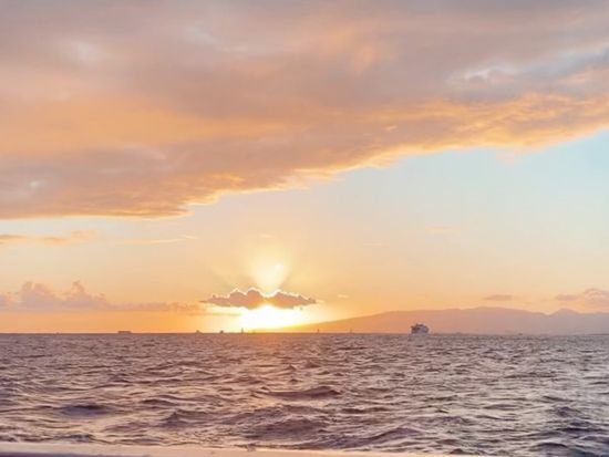 サンセットセーリング　ホロカイ・カタマラン号　オープンバーでの飲み放題付き！金曜日は大人限定でゆったりクルーズ＜ワイキキ発＞