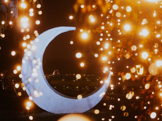 Advent Zagreb 2022 - S. Ceric Kovacevic (3)