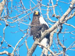 IMG_7911