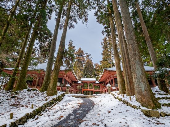 【滋賀発】貸切観光タクシー 世界遺産 比叡山延暦寺へ 1200年の歴史を体験＜2.5時間／1～9名／大津市内発着／京都発着オプションあり＞by 滋賀ヤサカ自動車