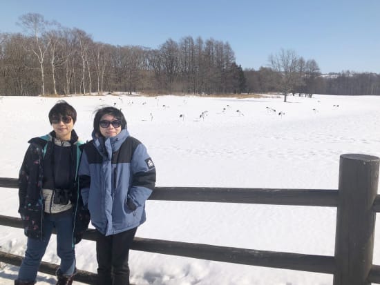 冬のタンチョウ鑑賞ツアー 雪裡川+鶴見台+釧路湿原 美しい冬の世界が待っている！＜12～3月／最大3名／釧路市内送迎可／大楽毛駅集合＞byEAST POWER