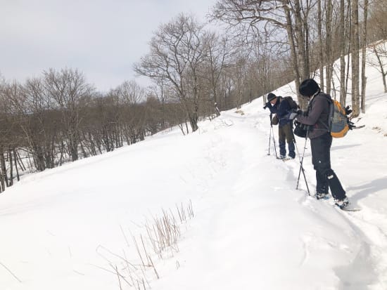 釧路湿原 スノーシュー体験 経験によりコースを決定！雪に埋もれる湿原を体験しに出かけよう＜1～3月／最大3名／送迎可／釧路市内駅集合＞byEAST POWER